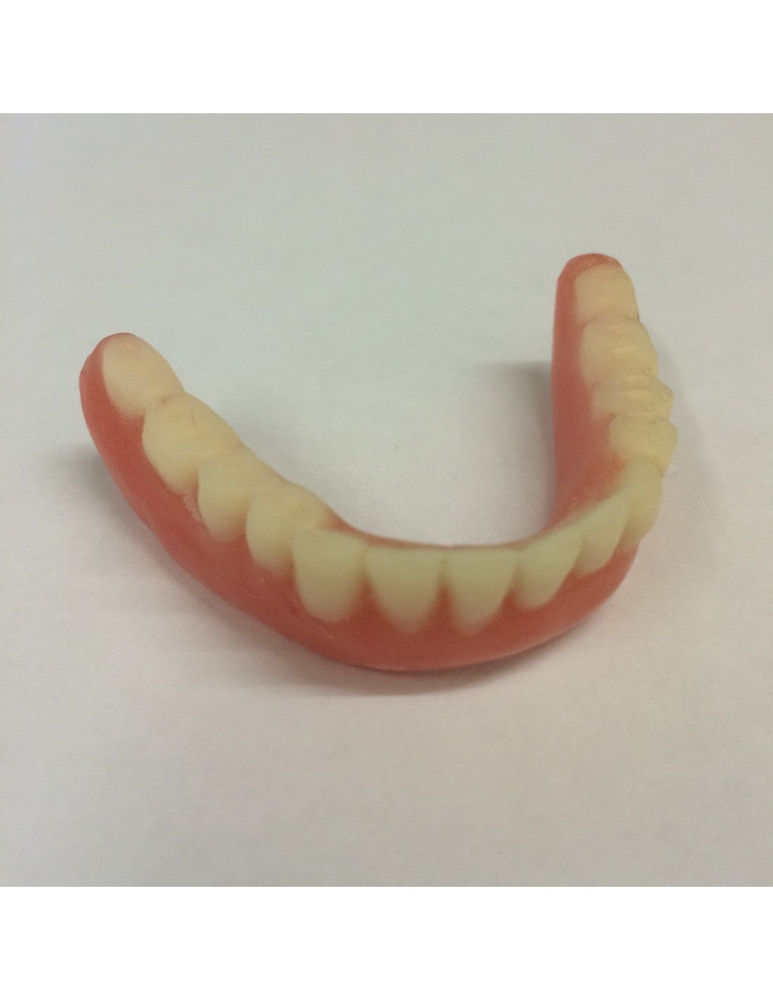 Option 3: Denture Copy - Top OR Bottom Set