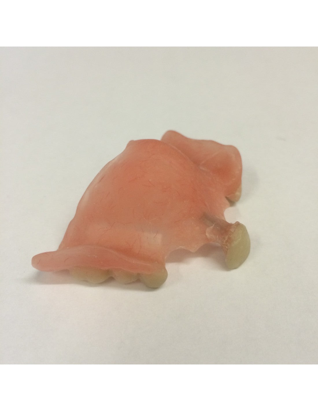 Option 3: Denture Copy - Top OR Bottom Set