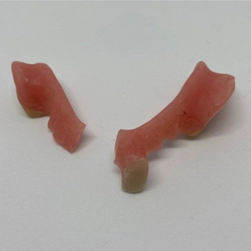 Option 5: Denture Repair & Copy - Top OR Bottom Set